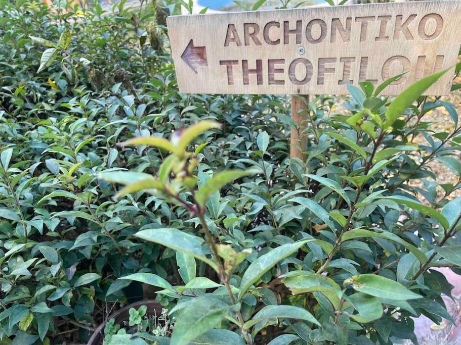 Archontiko Theofilou #2 With Private Parking Space Tessalónica Exterior foto